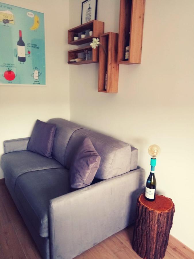 Vinhome Bilocale Con Garage Privato Alba Centro Екстер'єр фото